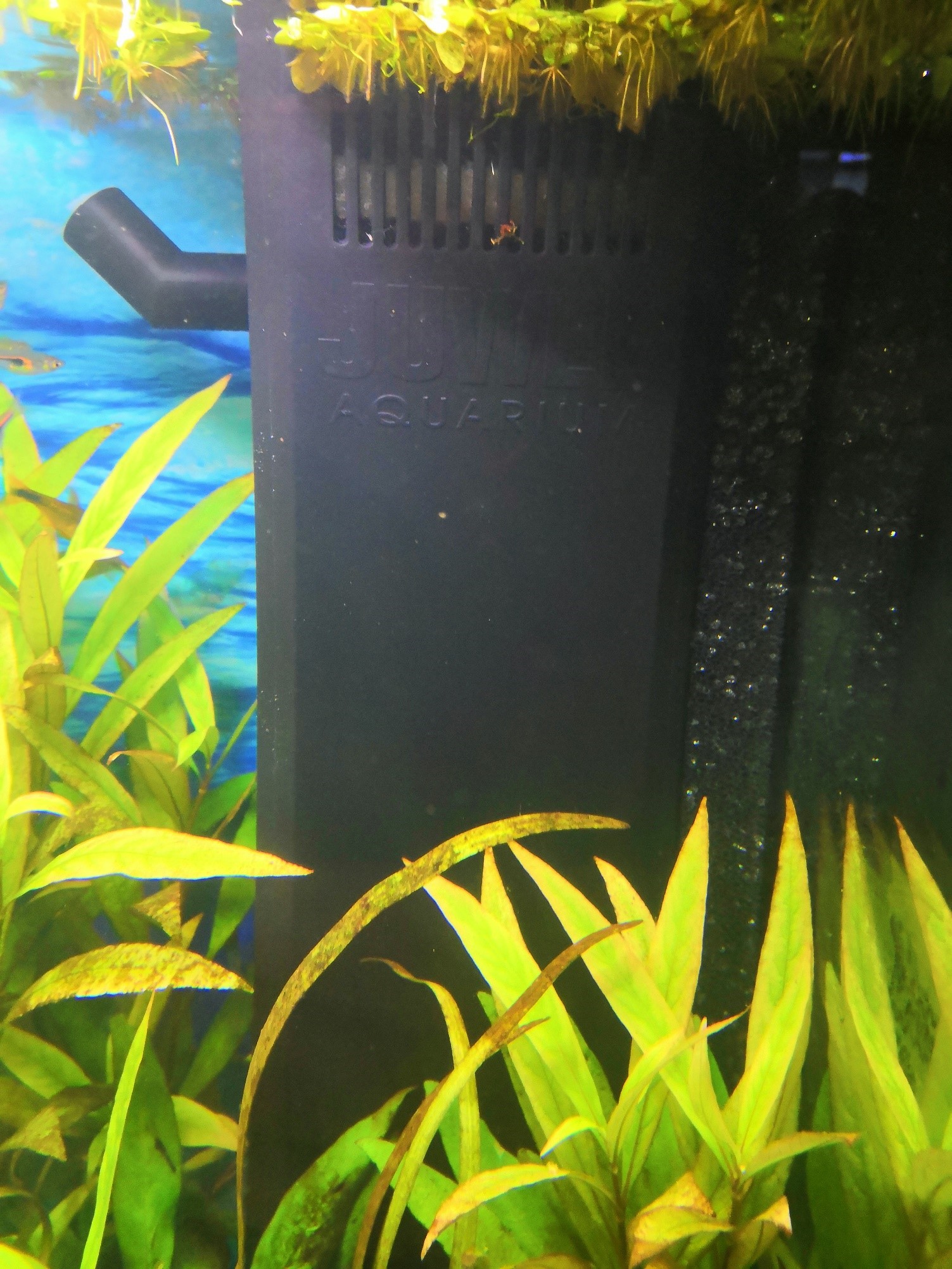 Magnetischer Filterhalter am Aquarium