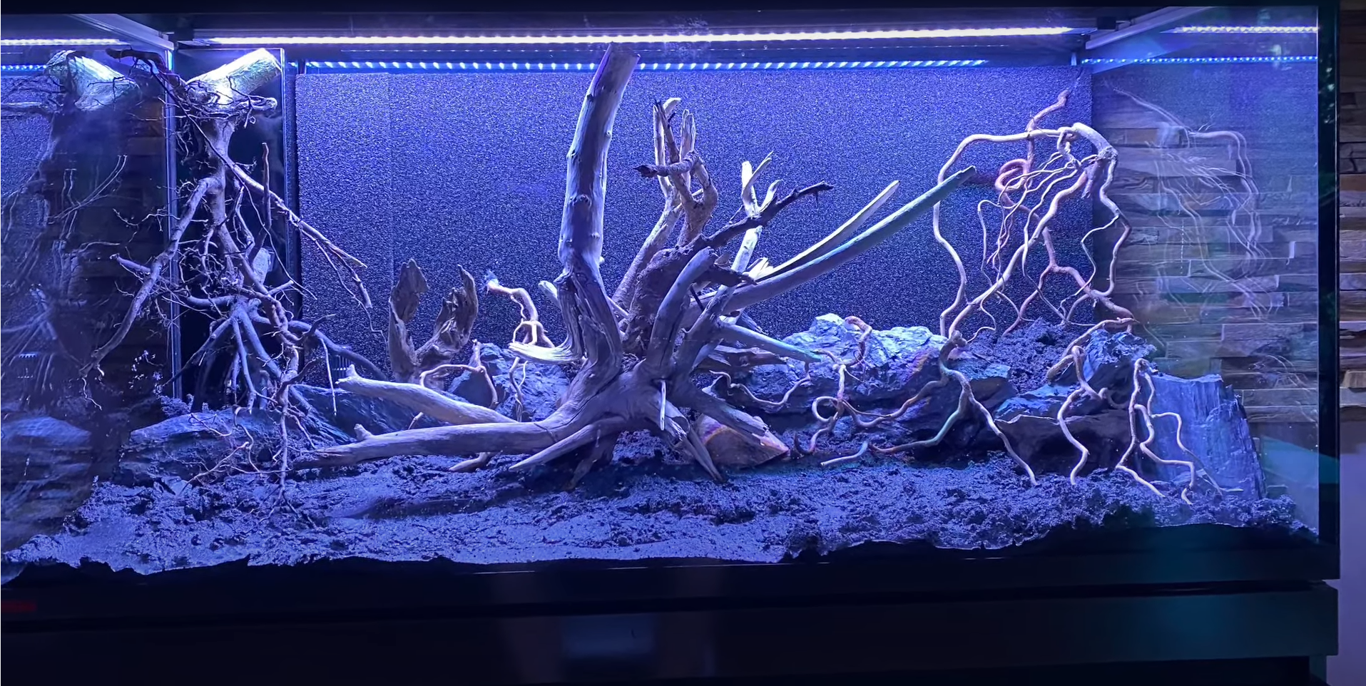 Eingerichtetes Aquarium mit Pflanzen und Steinen