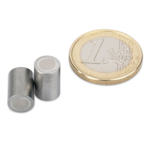 AlNiCo-Stabgreifer Ø 6 x 10 mm, Stahl, Passung h6, 200 g