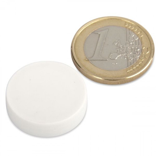 Neodym Magnet Ø 22,0 x 6,0 mm mit Kunststoffmantel - weiß - 4,1 kg