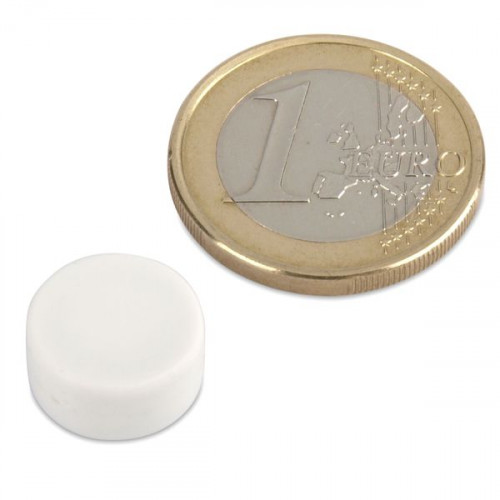 Neodym Magnet Ø 12,7 x 6,3 mm mit Kunststoffmantel - weiß - 2 kg