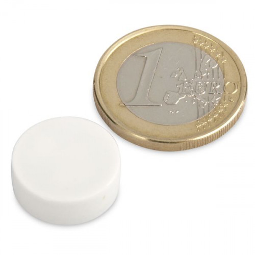 Neodym Magnet Ø 16,0 x 6,0 mm mit Kunststoffmantel - weiß - 2,6 kg